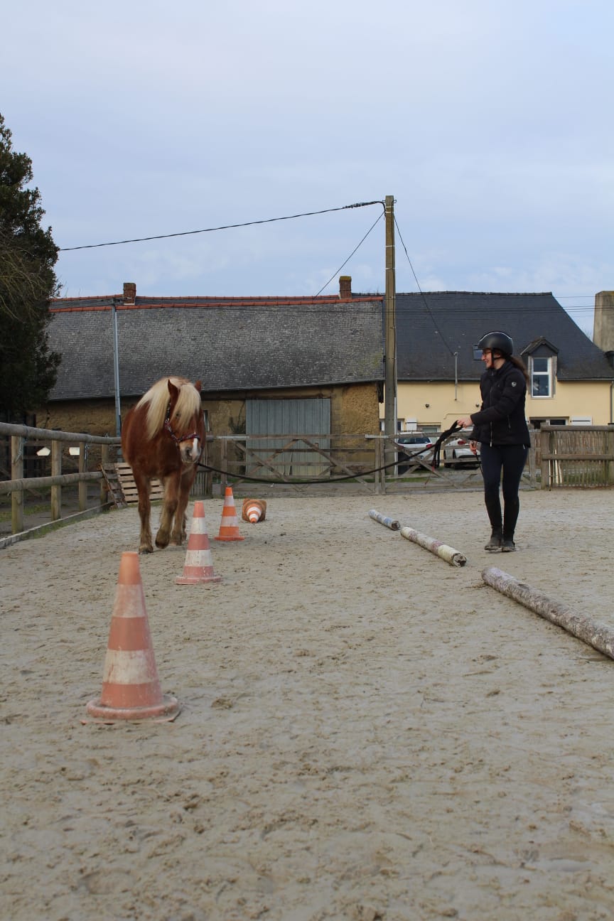 Stage "je valide ou j'évalue ma progression" à partir du g3